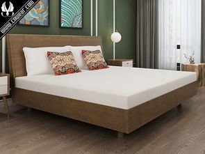 拆解“源头基因” 作为新锐家居品牌，「throyal」的寝具竞争力在哪里？